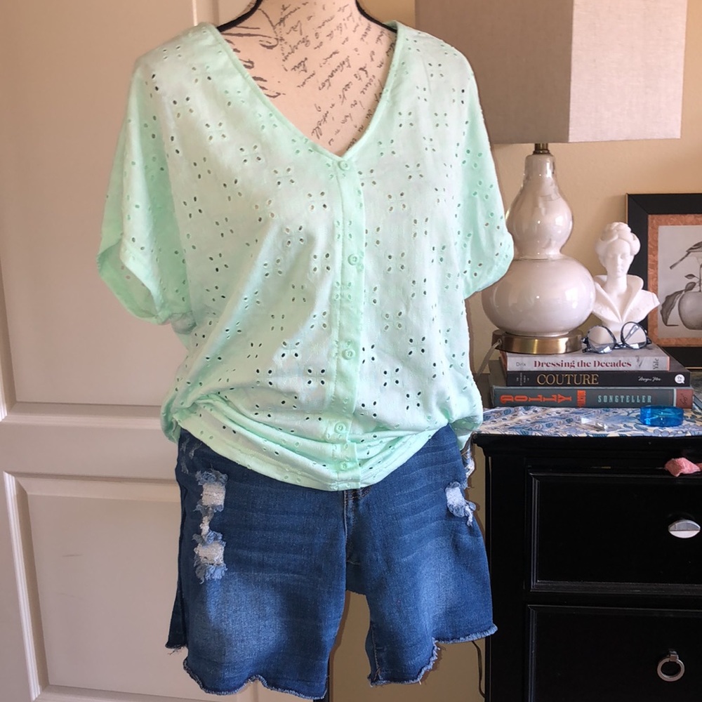 1826 Jeans Distressed Denim Cutoff Shorts